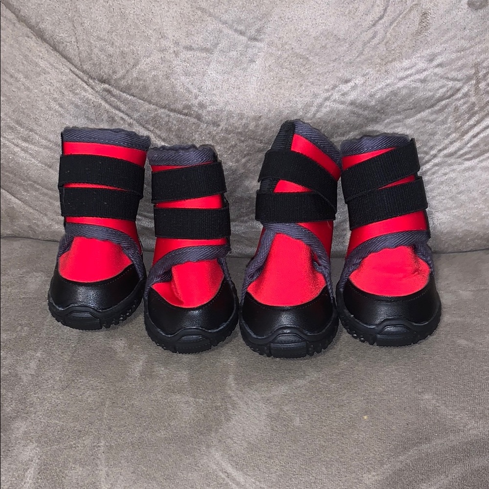 Dog Red and Black Shoes